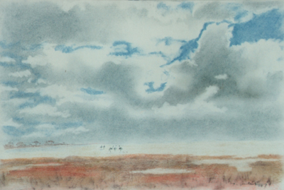 Bild Strauße auf der Etosha-Pfanne von Uli Aschenborn